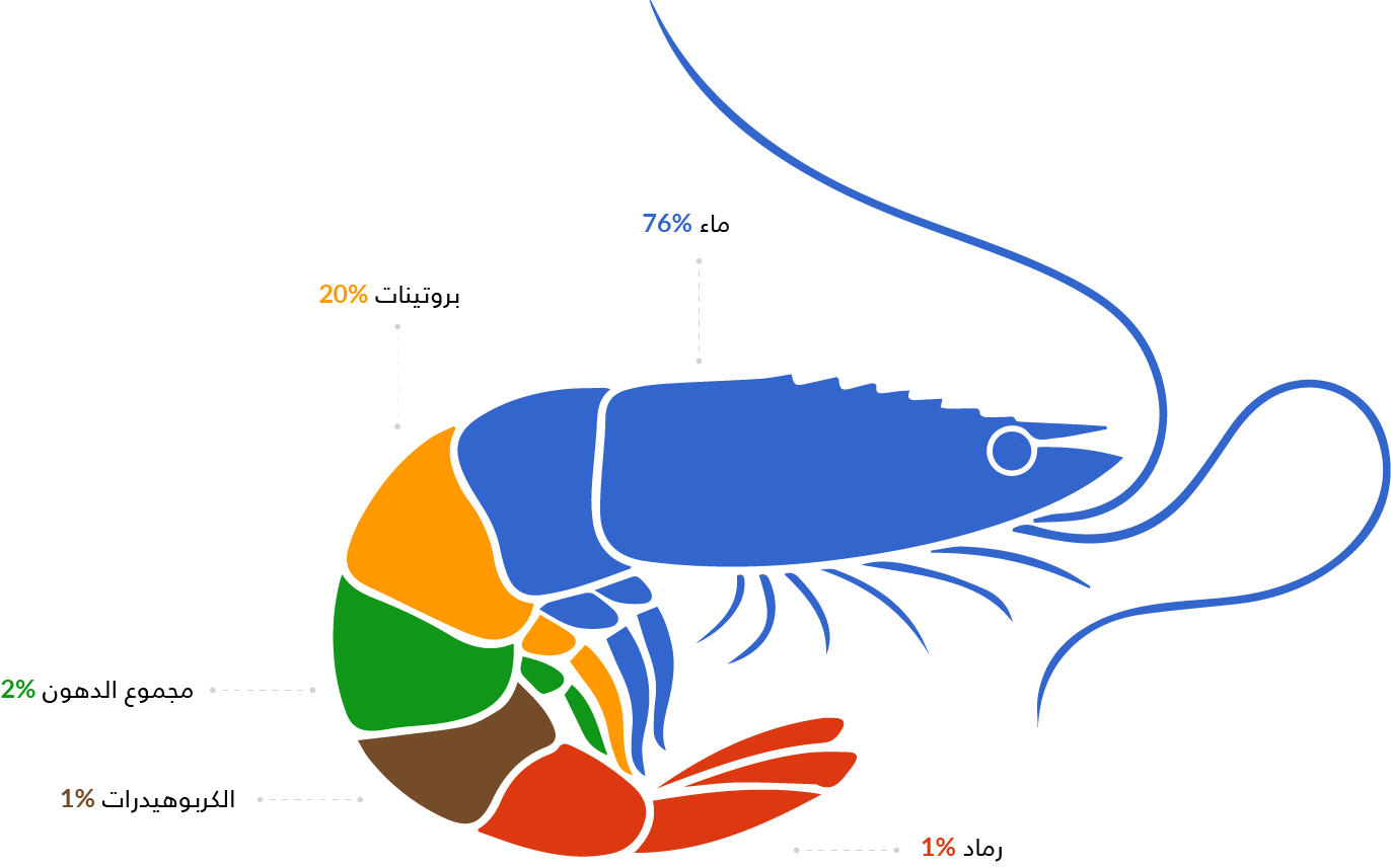 content_tabs_2 (1).png