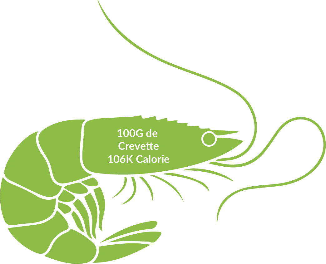 content_tabs_1.png